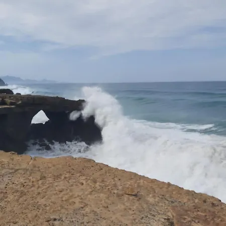 La Canada * Tiscamanita