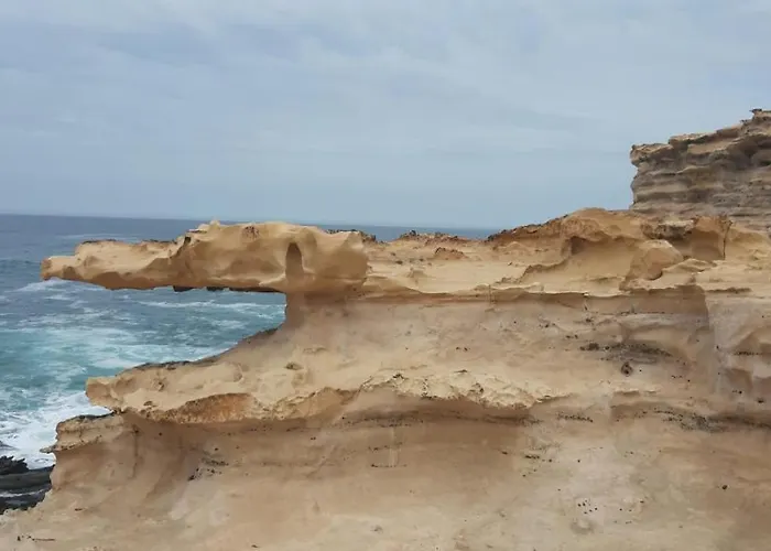 La Canada Tiscamanita