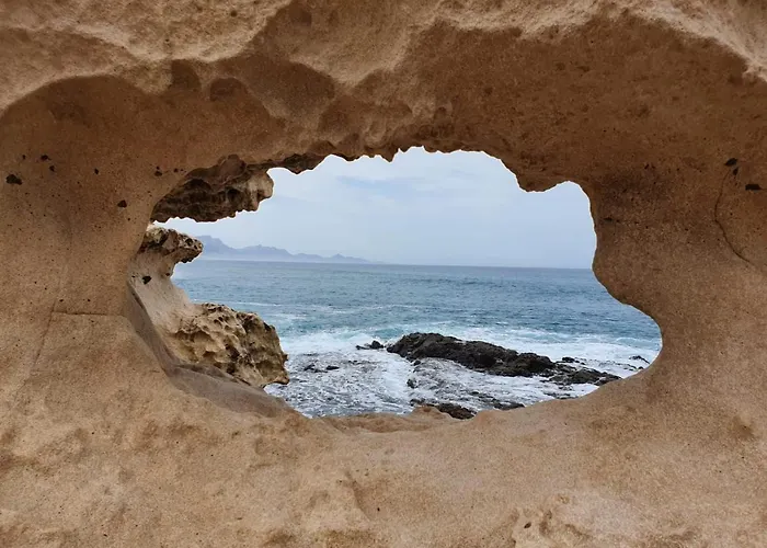 La Canada Tiscamanita